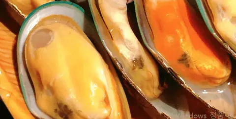 MUSSELS