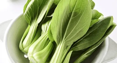 Pak Choi