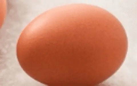 Raw Egg